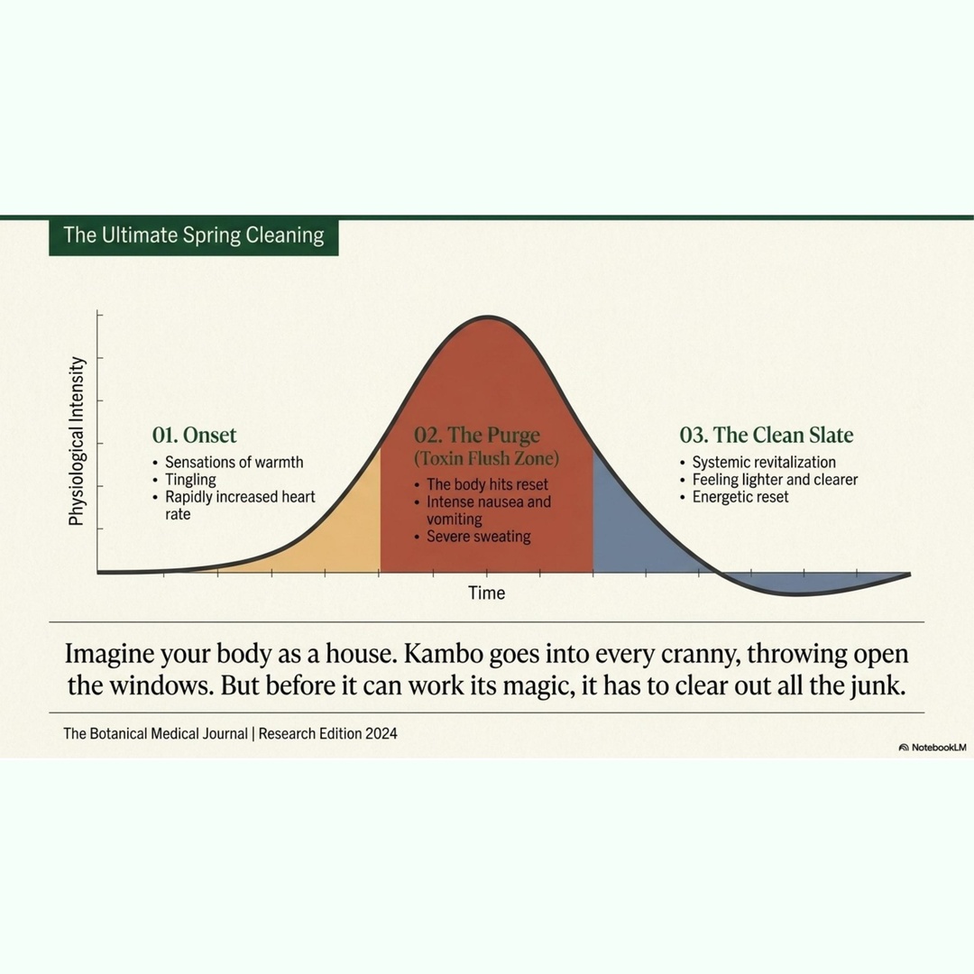 Kambo slide 07, an infographic describing a reported experience; its detox and toxin-flush claims are not established medical effects